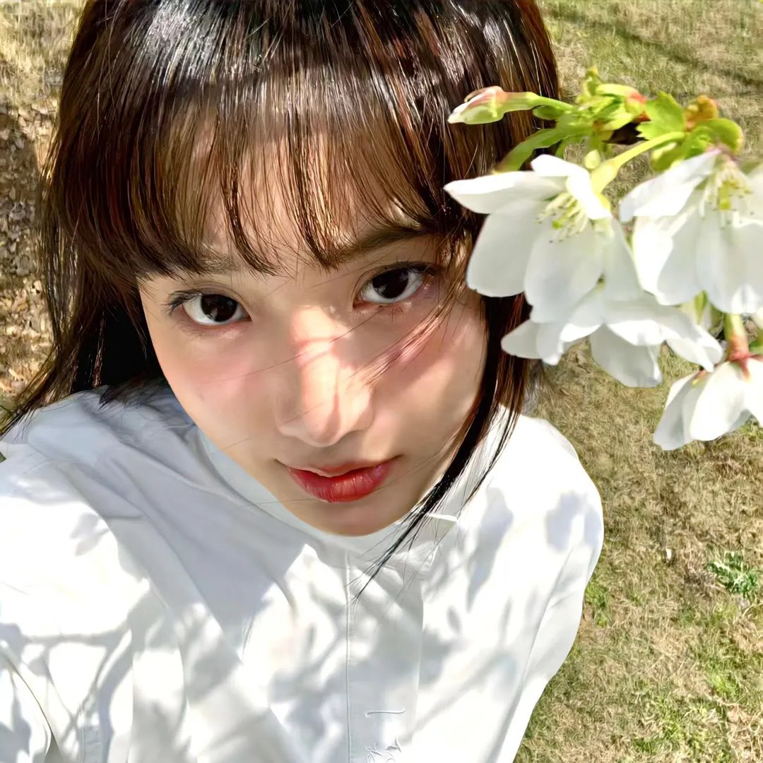 少林俗家弟子