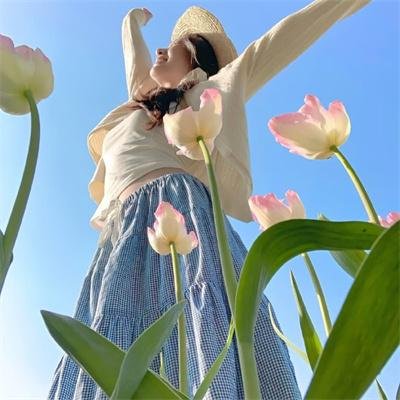 布里斯比熊